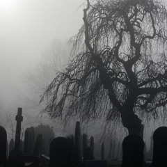 i really miss my friends +video in desc