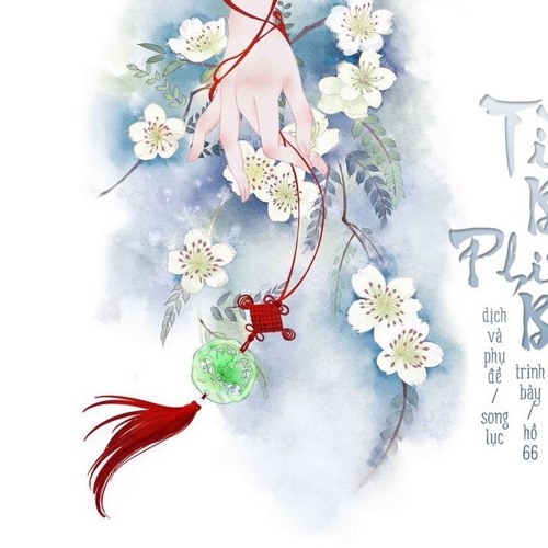 浪人琵琶 Tì Bà Phiêu Bạt - 胡66 (Hồ 66) ♪Song Lục♪