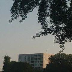 C&M TRIMAT(Going Crazy)