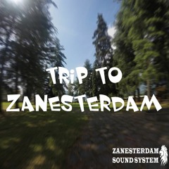 Trip to Zanesterdam