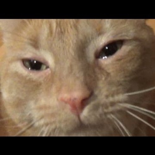 why cant i cry $$$ instead of tears :(((( (2015)