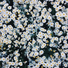 Heaven- RXA