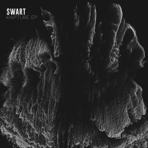 SWART - RAPTURE