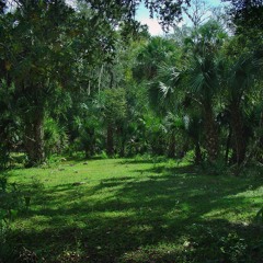 Busy [Jungle Type Beat]