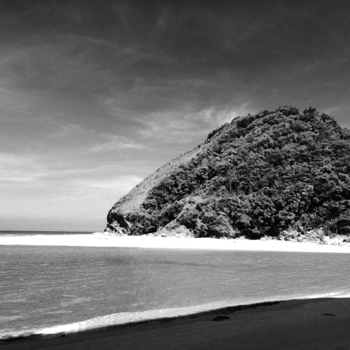 #BackOnthePinKQuaRtZ#Thedustisnotthesame #NeWChaPteR #greeN # Source #MoRetHanOrganiC