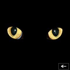 Nocturnal - The Weeknd Type Beat (Prod. Khaledplz)