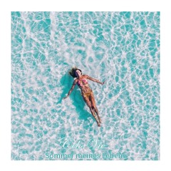 Sommer meines Lebens