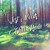 Artwork for The Legend of Zelda - Lost Woods (Chill Remix)