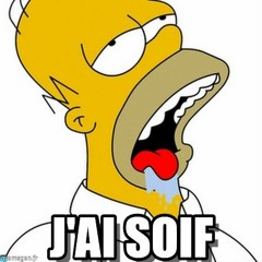 j'ai soif! - version FL5 2008 - collaboration Pascal Lippé