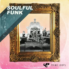 Soulful Funk ► [FREE SAMPLE PACK]