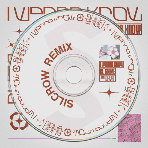 I Wanna Know Lyrics Rl Grime