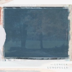 Lungfulls - Lunula (Side A)