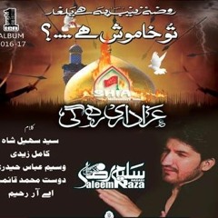 Alam Abbas a.s Brushisky Noha Saleem Raza Nagri