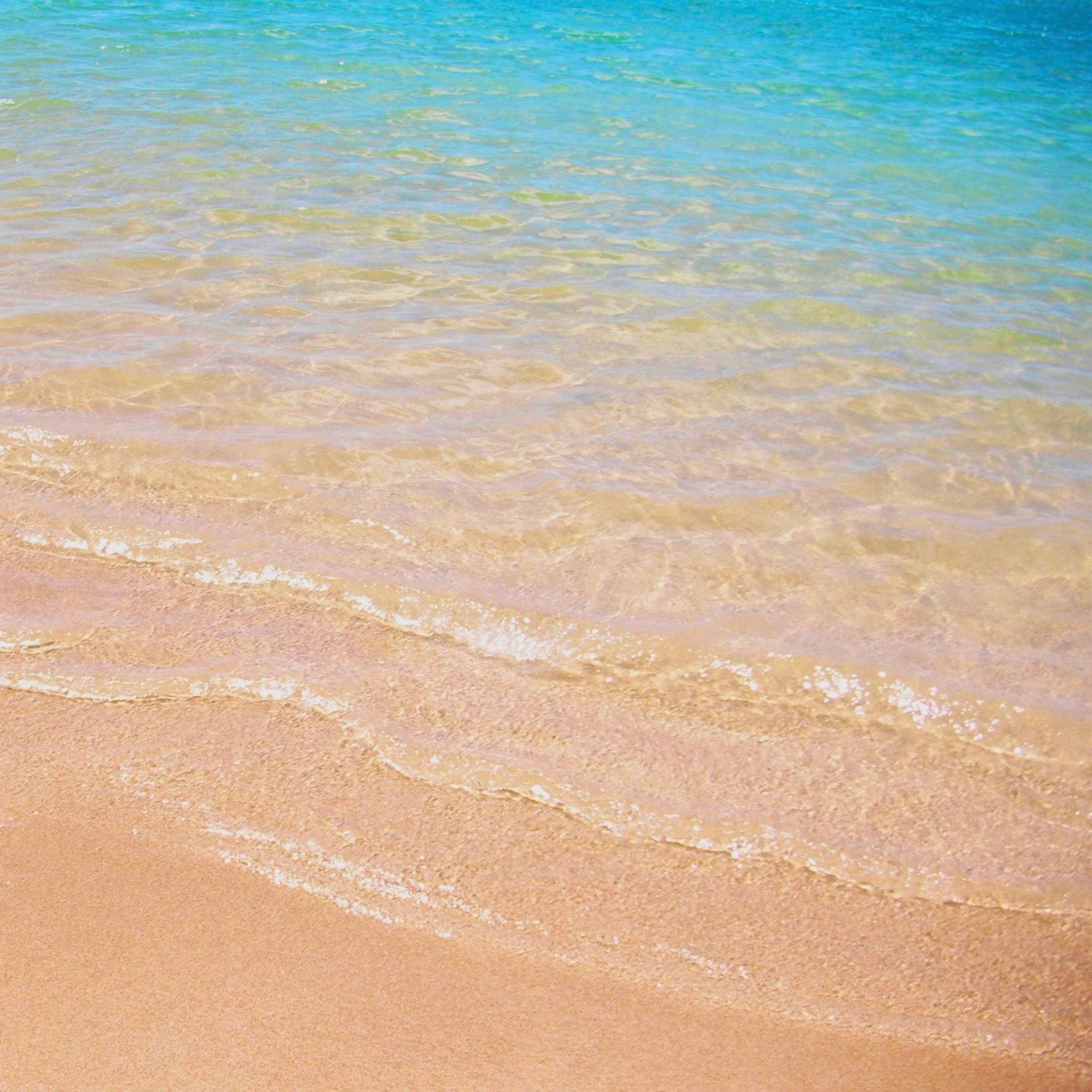 Holiday on the beach episode artwork