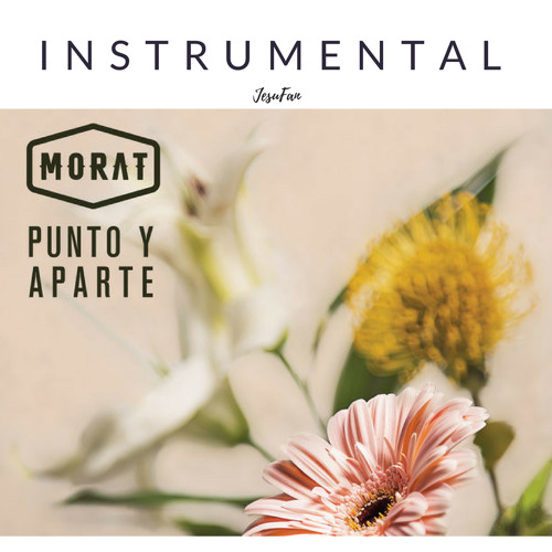 Stream Morat - Punto Y Aparte | Instrumental By JesuFan by JesuFan | Listen  online for free on SoundCloud