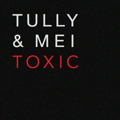 TOXIC (Britney Spears cover)