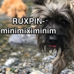 Ruxpin- minimiximinim