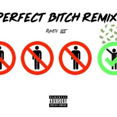 Moneybagg Yo - Perfect Bitch (Raven Lee Remix)