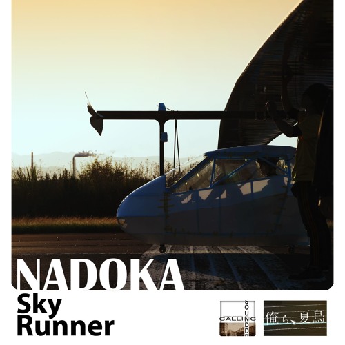 Sky Runner (映画「俺ら、夏鳥」主題歌)