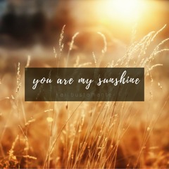 You Are My Sunshine - Kai Bustamante