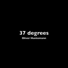 Oliver Huntemann - 37 Degrees