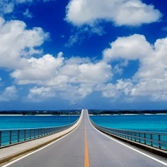 Go Home (Deadline Projekt 3 #4)