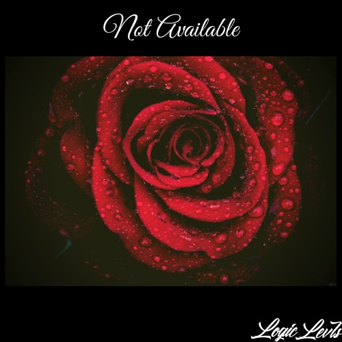 Logic Levls - Not Available [For Sale]