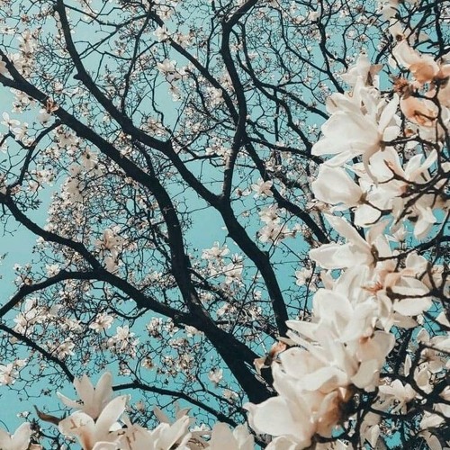 لأنك الله - عبدالله الجارالله