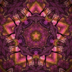 Reveries Drift