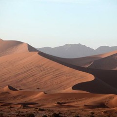 Les aventuriers du desert