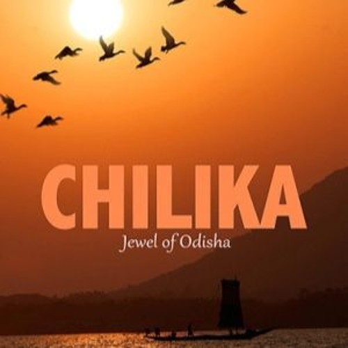 Meet Esther McAvoy: Ewan McGregor's Hidden Jewel Behind the Spotlight