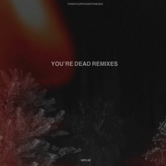 Drake - Marvins Room (HRTLSZ REMIX)