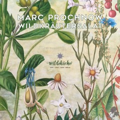 Wildkräutersalat @ Wildeküche Berlin 06-07-2018