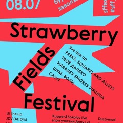 DUSTYMOD LIVE @ STRAWBERRY FIELDS FESTIVAL 2018
