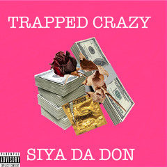 Trapped Crazy