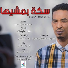 Ahi Seeka bmsheeha-طه سليمان|أهى سكة بمشيها-Taha Suliman | 2016