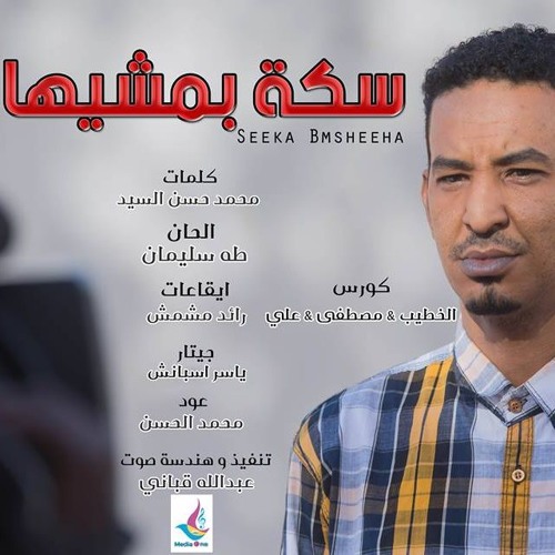 Ahi Seeka bmsheeha-طه سليمان|أهى سكة بمشيها-Taha Suliman | 2016