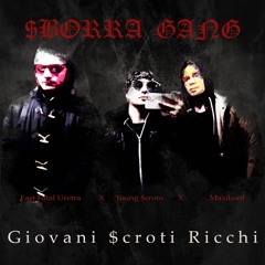 Maxibonf - I GATTI SONO TUTTI FROCI