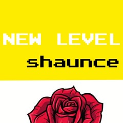 shaunce - new level