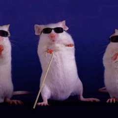 Migos & Shift K3Y mashup