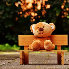 Quand tout était nouveau