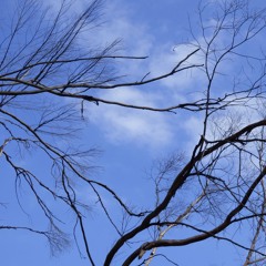 "....and the words get twisted all around....all the time"