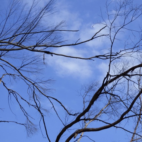 "....and the words get twisted all around....all the time"