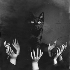 Tom Garnett - The Black Cat - [FREE DOWNLOAD]