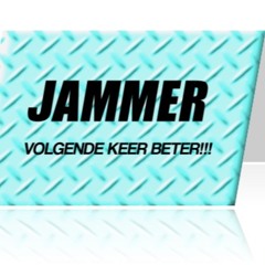 Rinus Flamingo & Brammetje  - Het Volgende Liedje