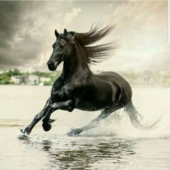 Астемир_Апанасов_-_Нохчийчоь[MP3.support].mp3