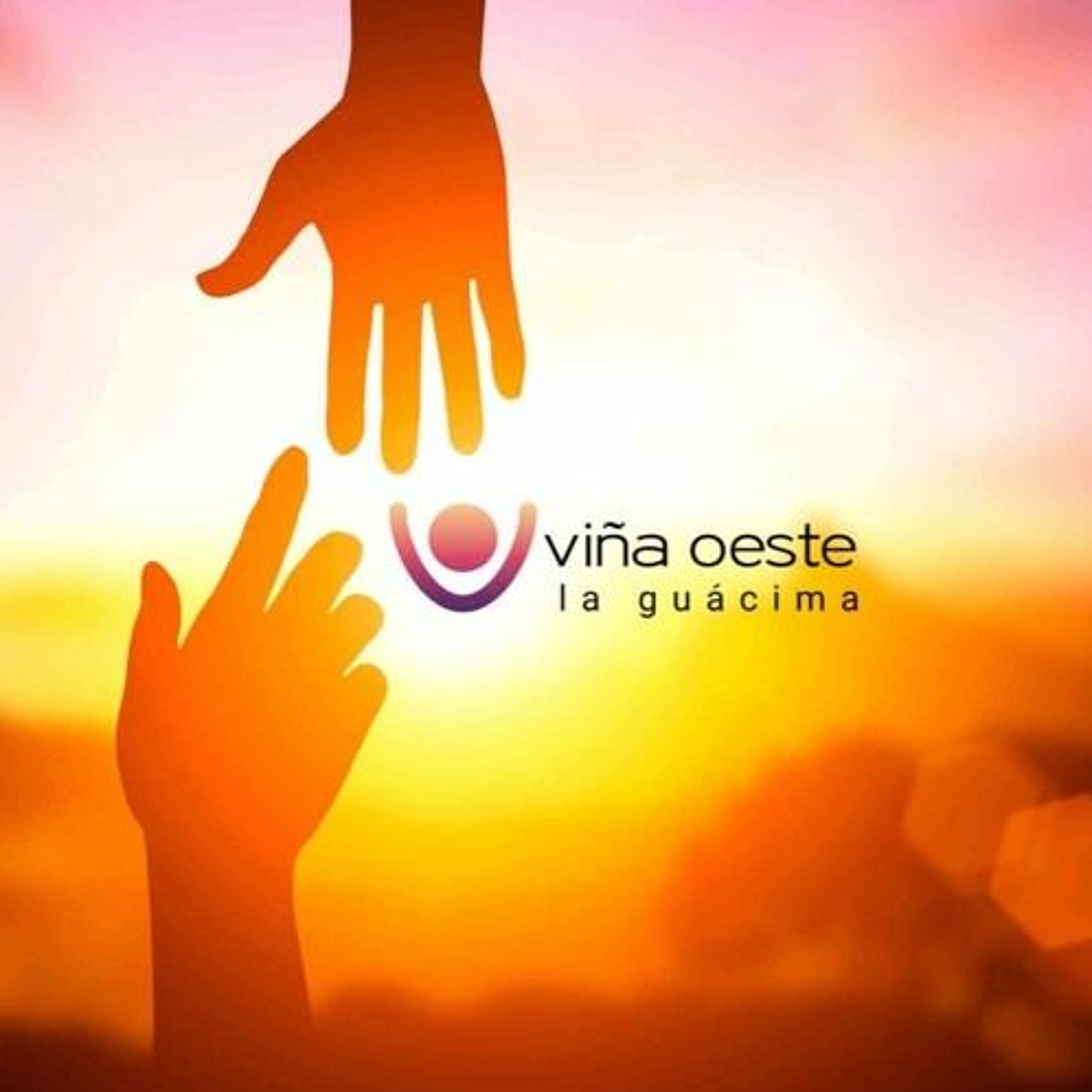 Viña Oeste La Guácima