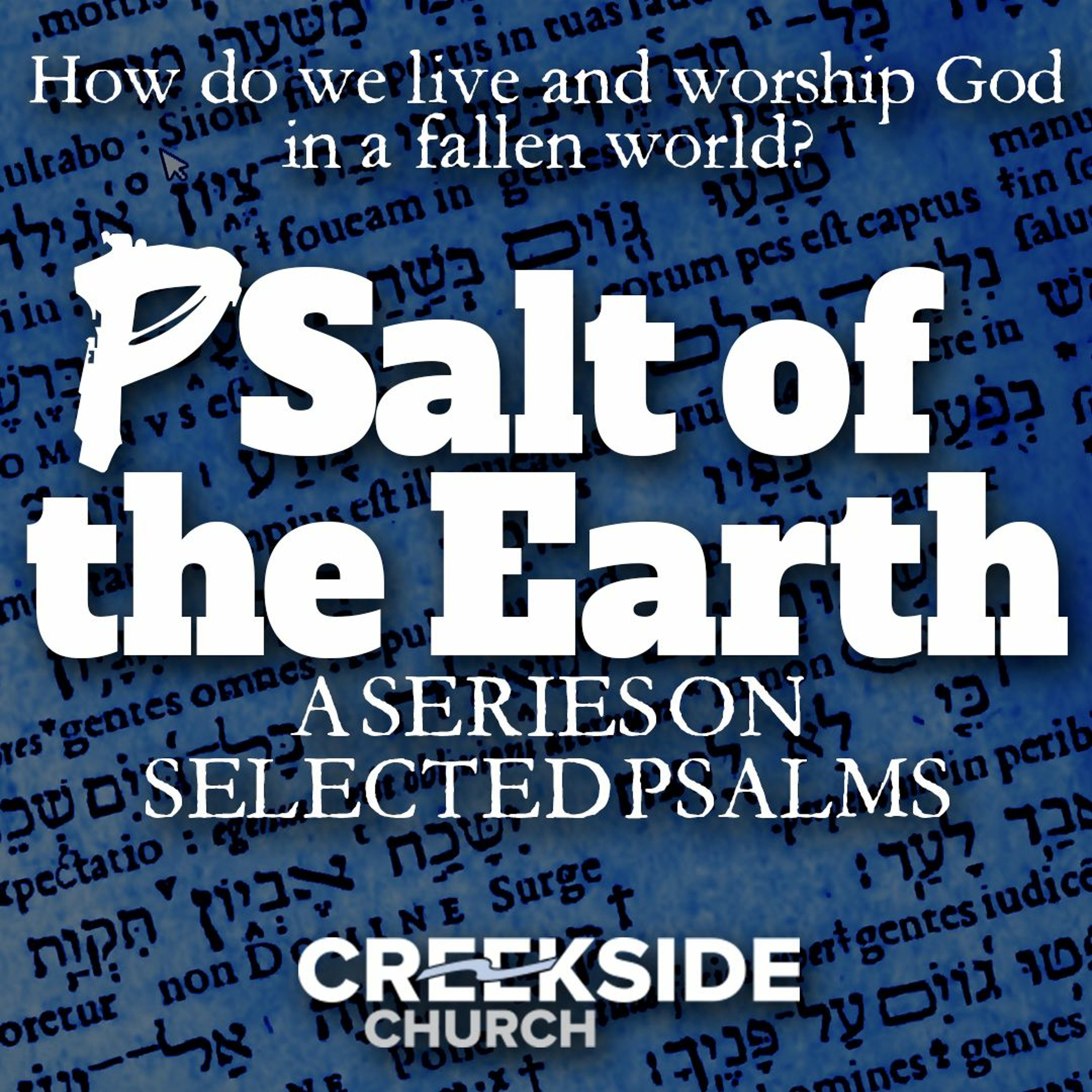 Psalm 16 - The Portrait and Prizes of Faith (PSalt of the Earth) episode artwork
