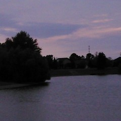 watch it all fall down