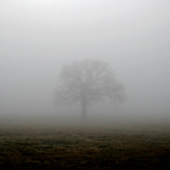 Misty (Prod. NextLane Beats x CorMill)